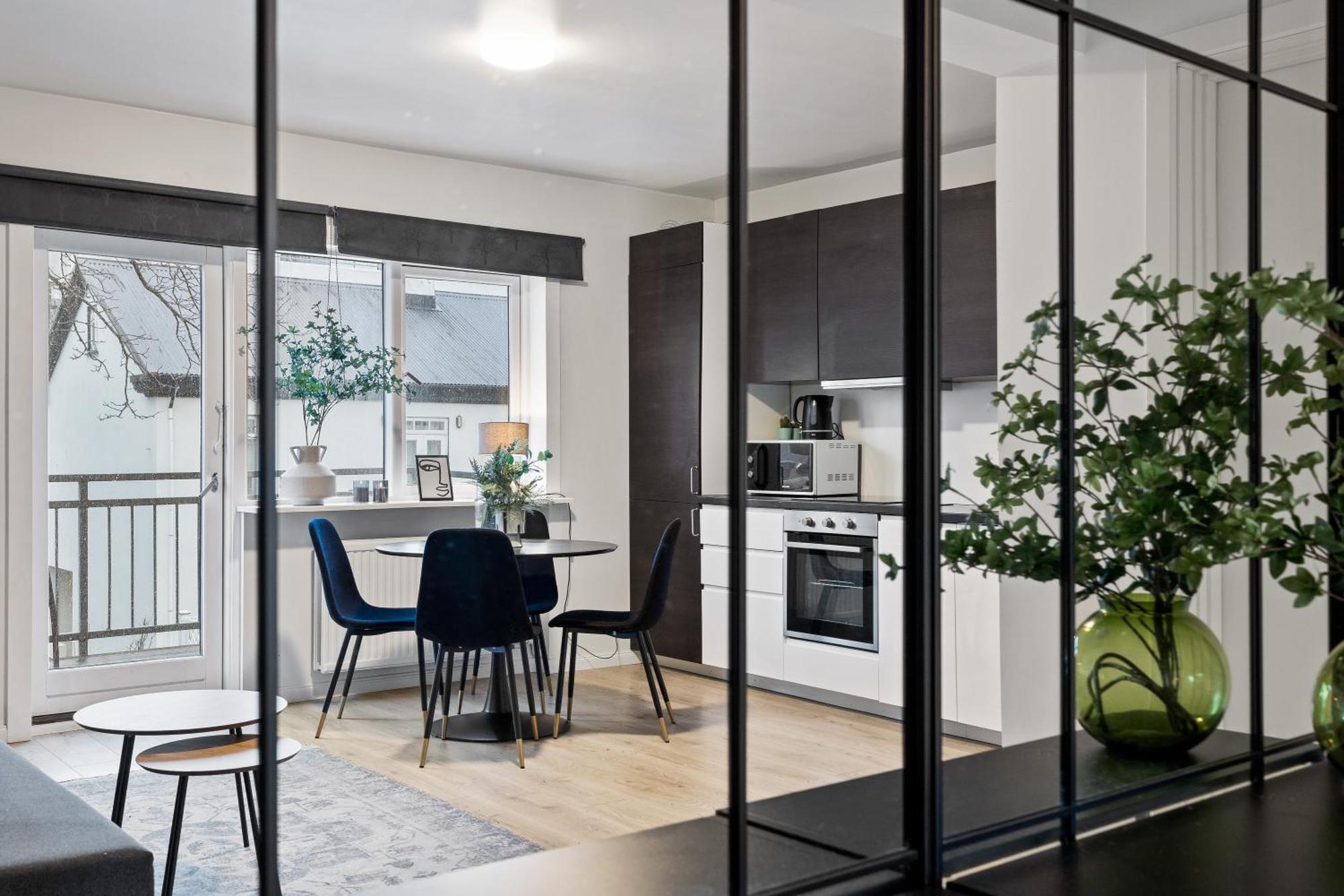 Cozy And Central Apartment Рейк'явік Екстер'єр фото