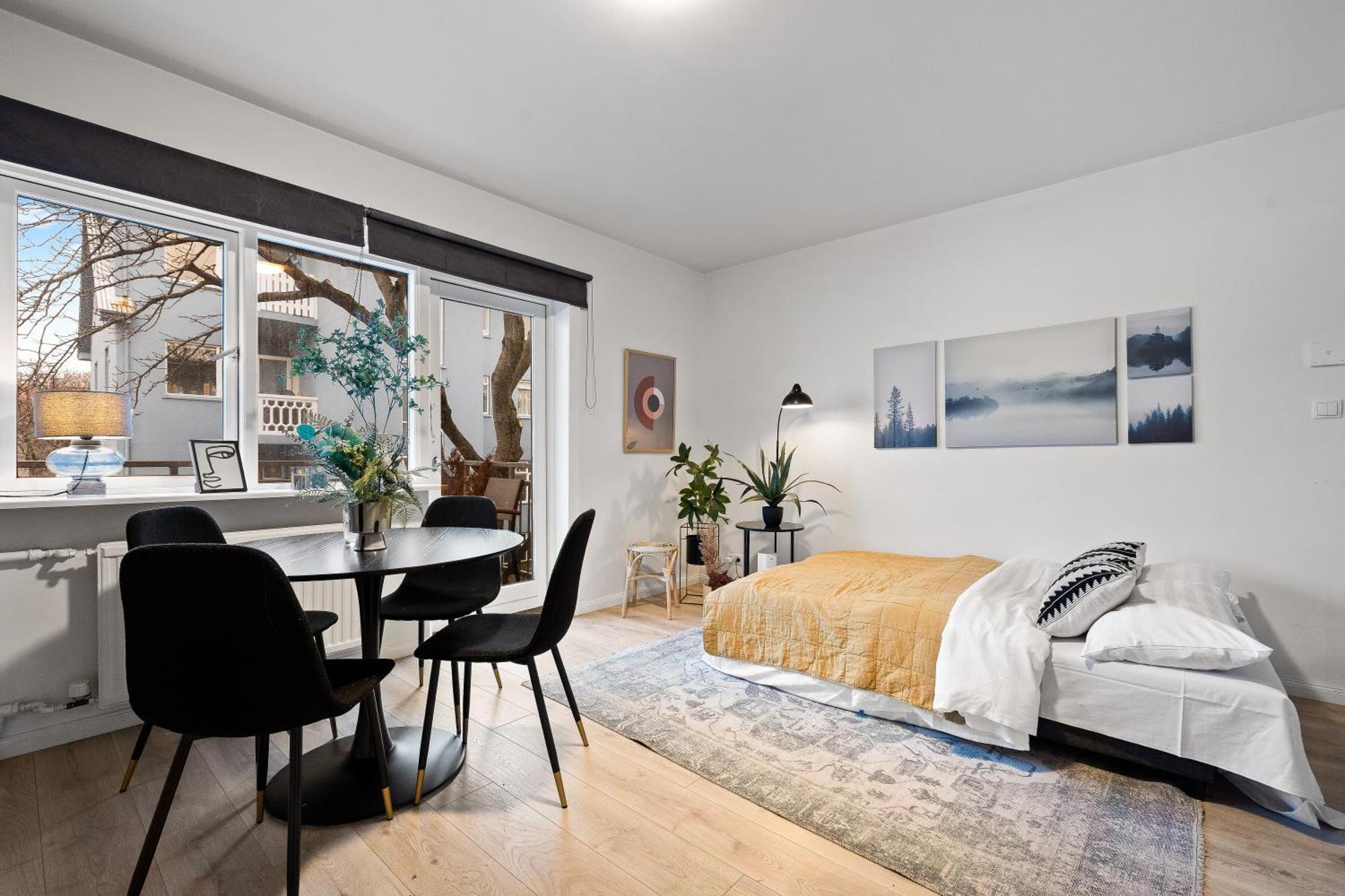 Cozy And Central Apartment Рейк'явік Екстер'єр фото