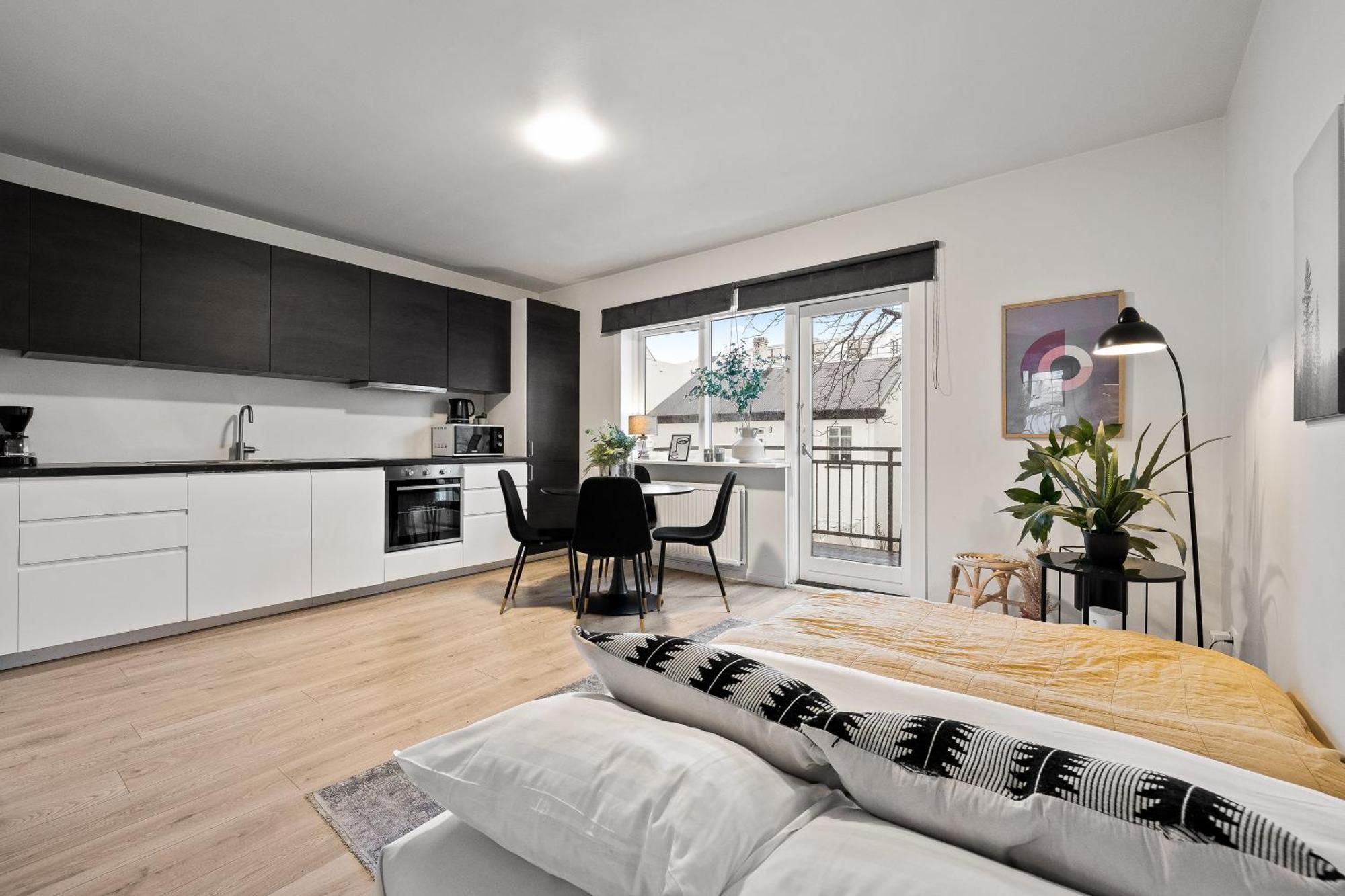 Cozy And Central Apartment Рейк'явік Екстер'єр фото