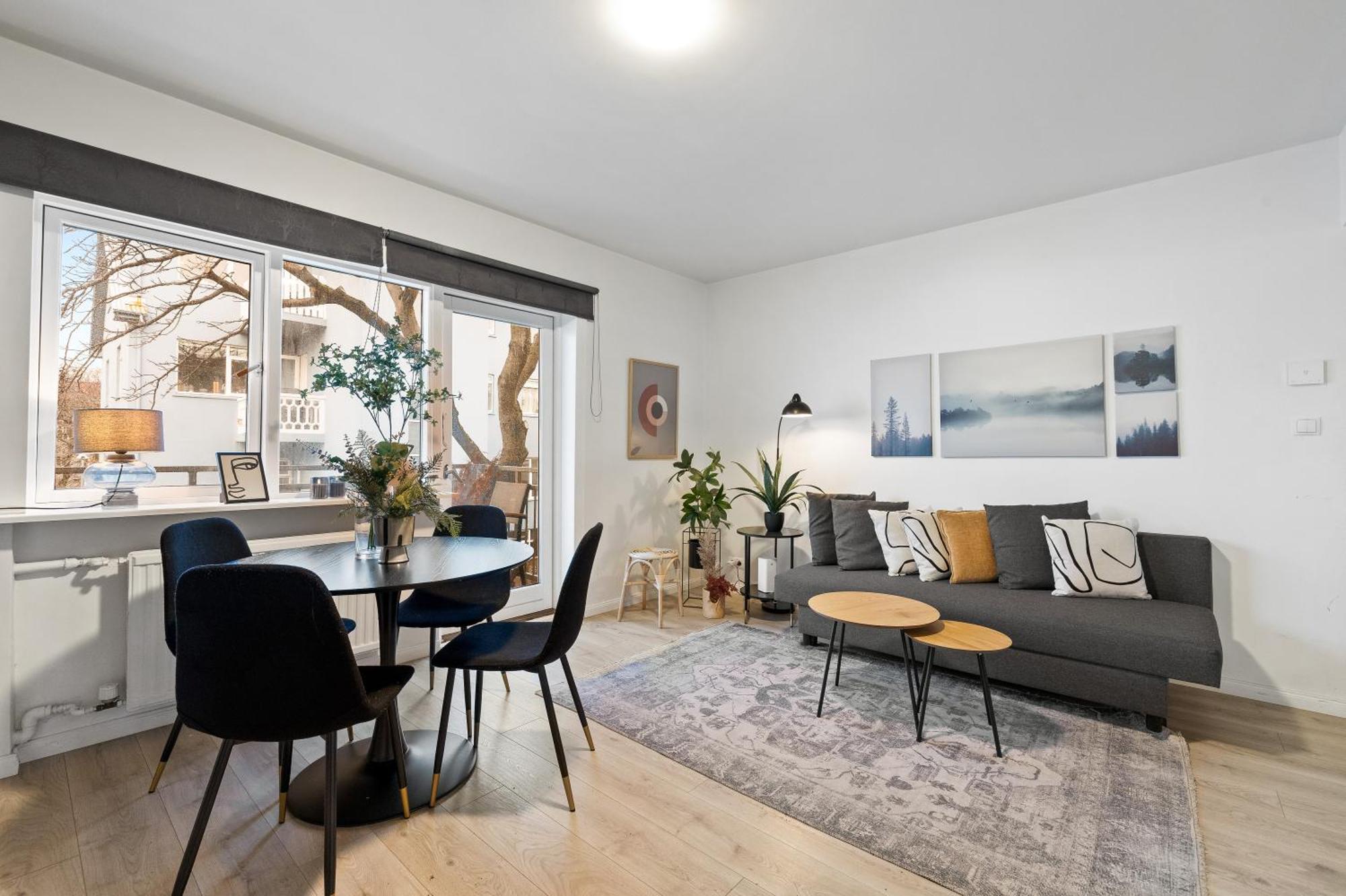 Cozy And Central Apartment Рейк'явік Екстер'єр фото